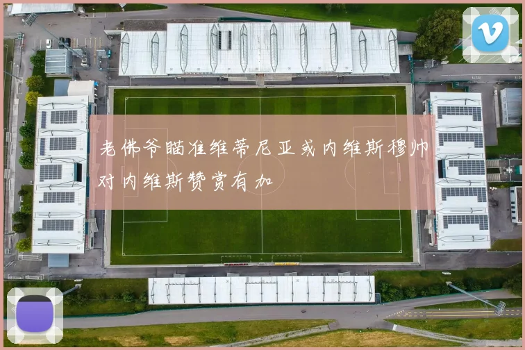 老佛爷瞄准维蒂尼亚或内维斯穆帅对内维斯赞赏有加