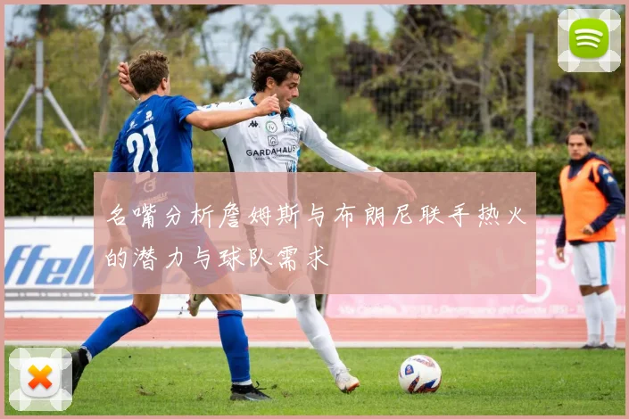 名嘴分析詹姆斯与布朗尼联手热火的潜力与球队需求