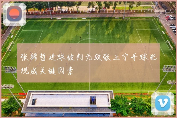 张稀哲进球被判无效张玉宁手球犯规成关键因素