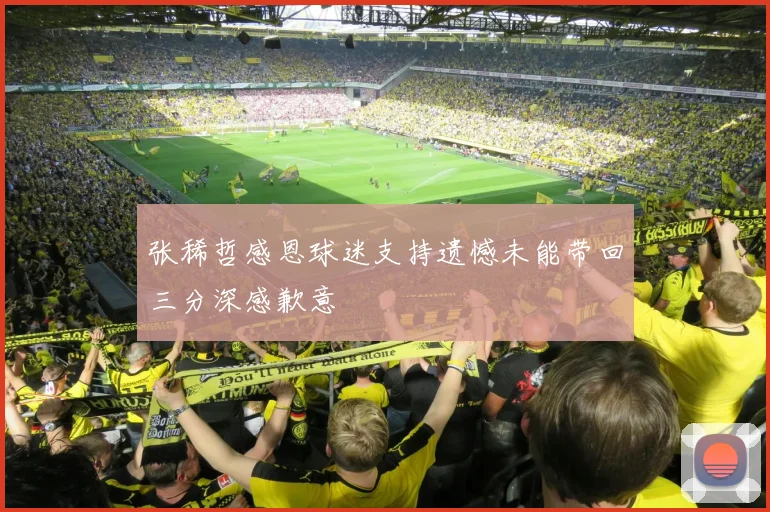张稀哲感恩球迷支持遗憾未能带回三分深感歉意